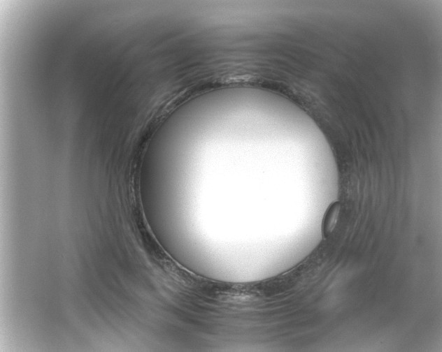 X0000066540743200603171055