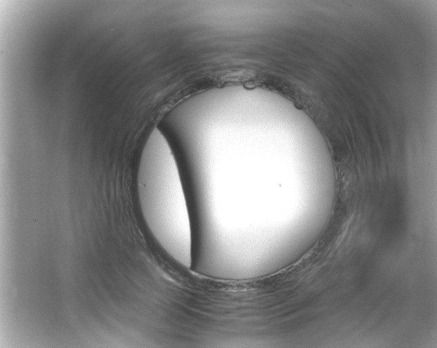 X0000066540745200603171055