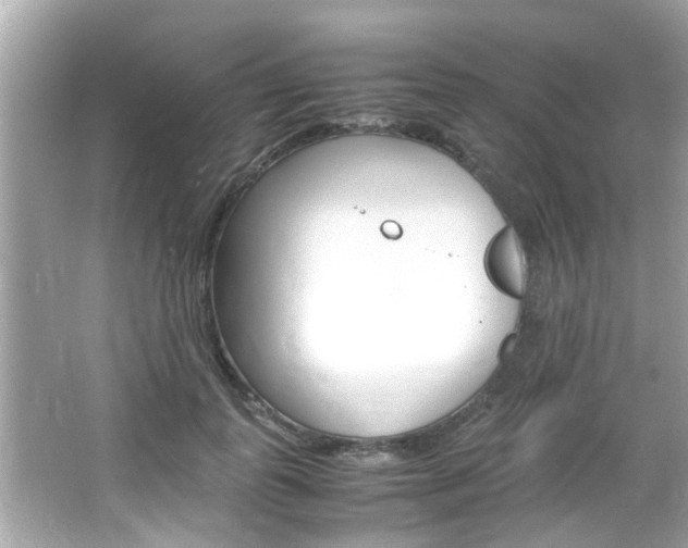 X0000066540747200603171055