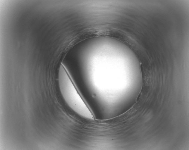 X0000066540748200603171055