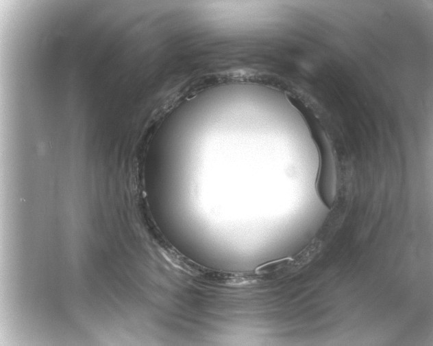 X0000066540760200603171055
