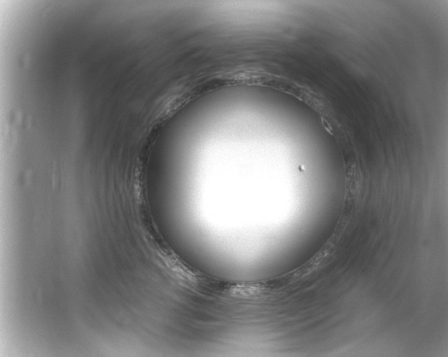 X0000066540762200603171055