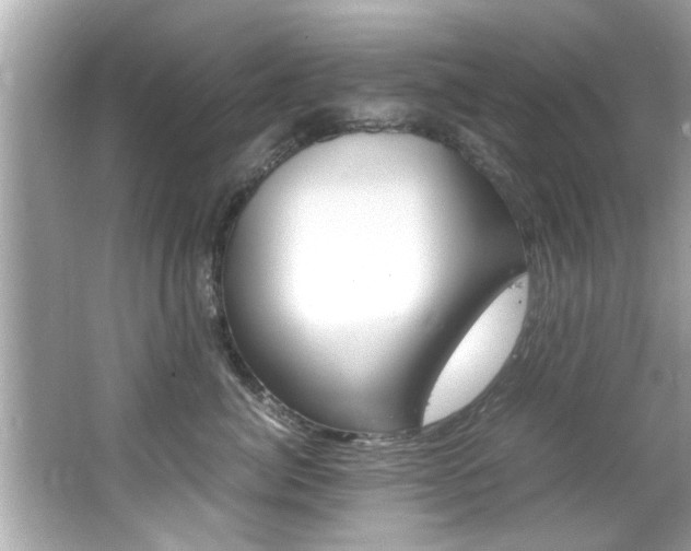 X0000066540764200603171055