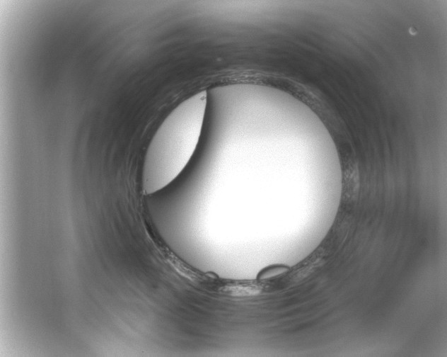 X0000066540765200603171055