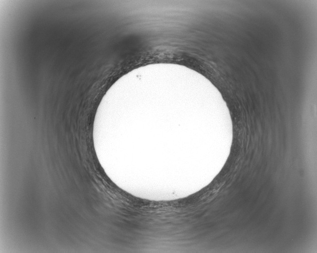 X0000066540769200603171054