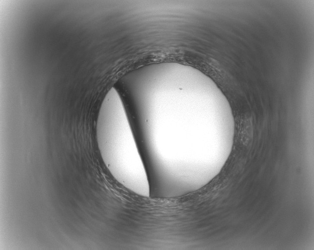 X0000066540770200603171054