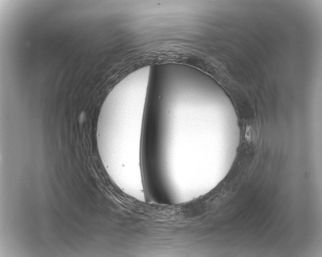 X0000066540771200603171054