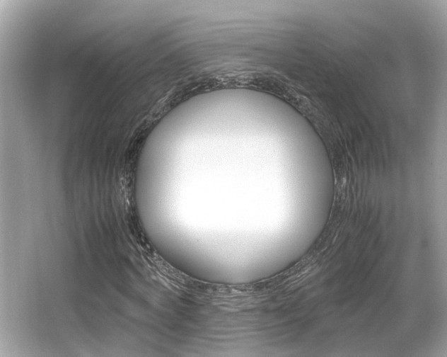 X0000066540772200603171054
