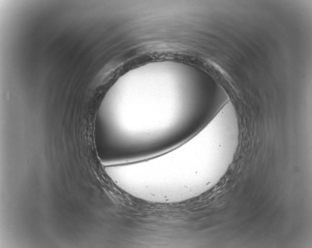 X0000066540775200603171054