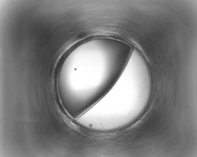 X0000066540779200603171054
