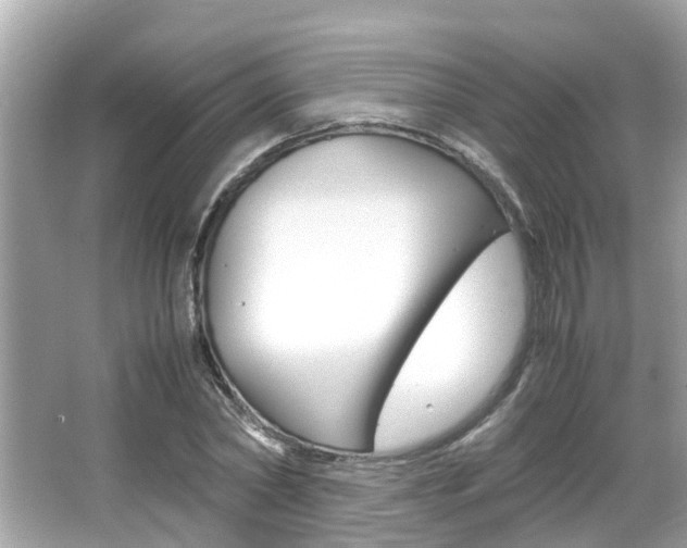 X0000066540782200603171054