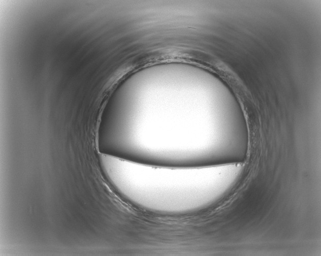 X0000066540785200603171054