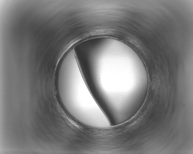 X0000066540786200603171054