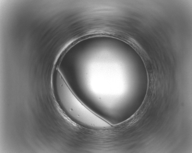 X0000066540788200603171054