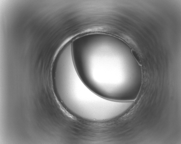 X0000066540792200603171054