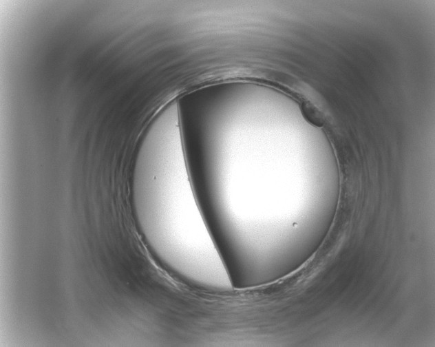 X0000066540793200603171054