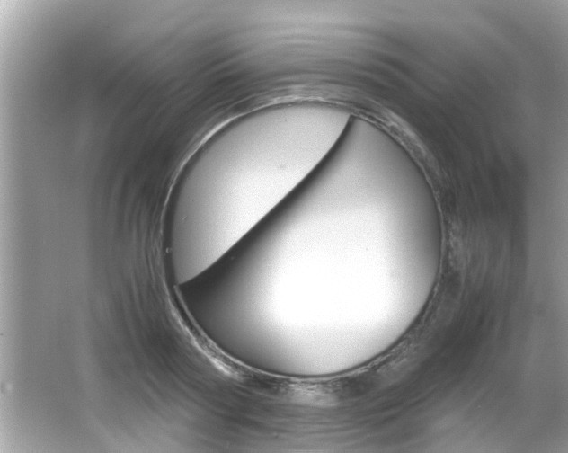 X0000066540794200603171054