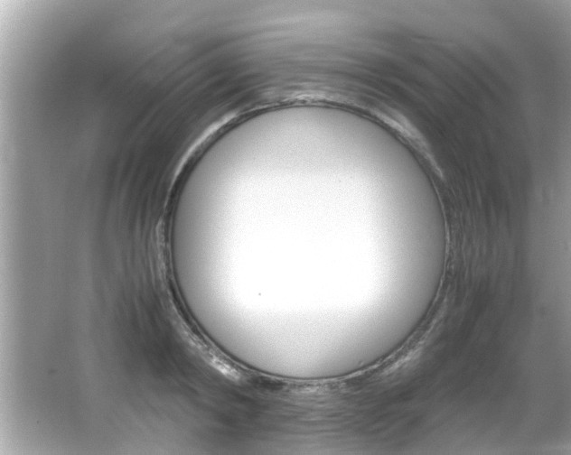 X0000066540798200603171054