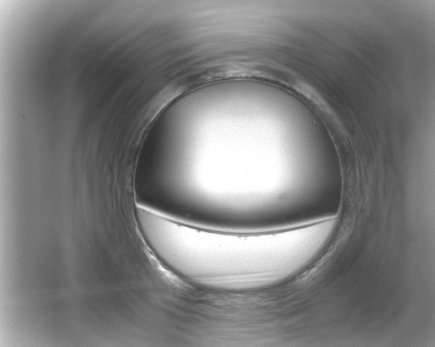 X0000066540801200603171054