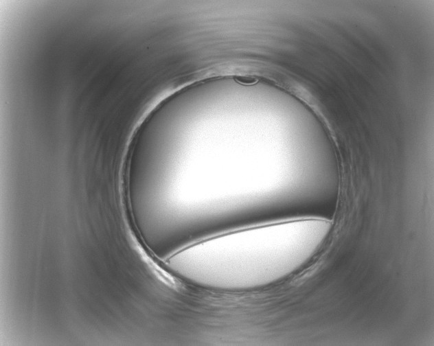 X0000066540803200603171054