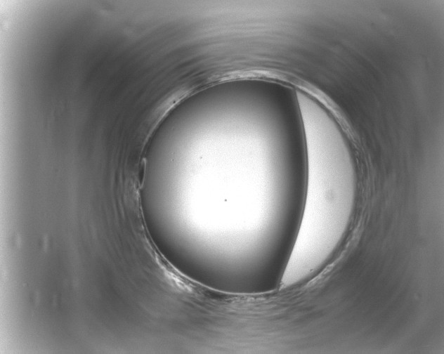 X0000066540809200603171053