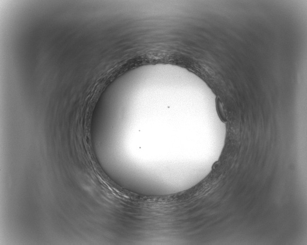 X0000066540817200603171053