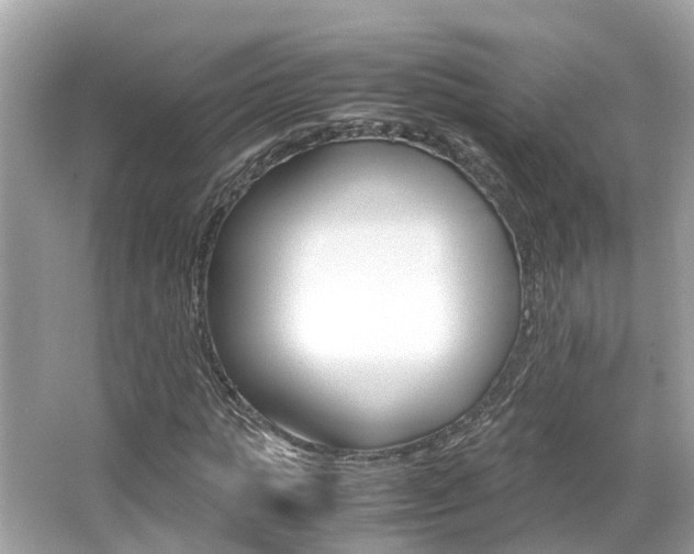 X0000066540821200603171053