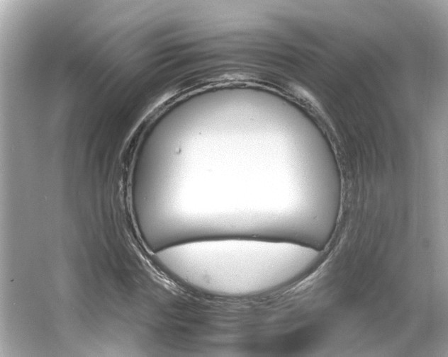 X0000066540827200603171053