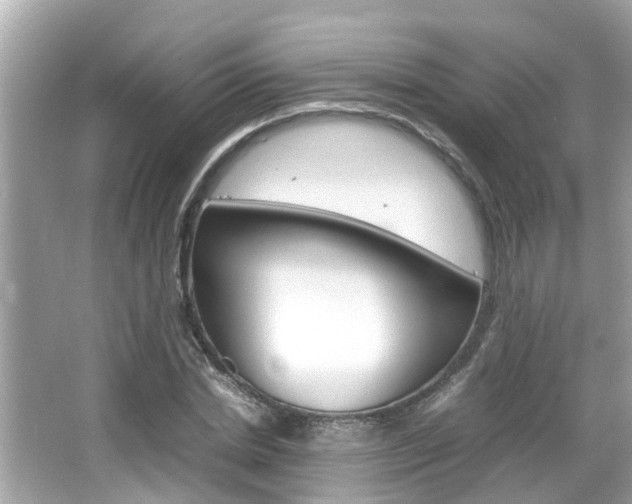 X0000066540830200603171053