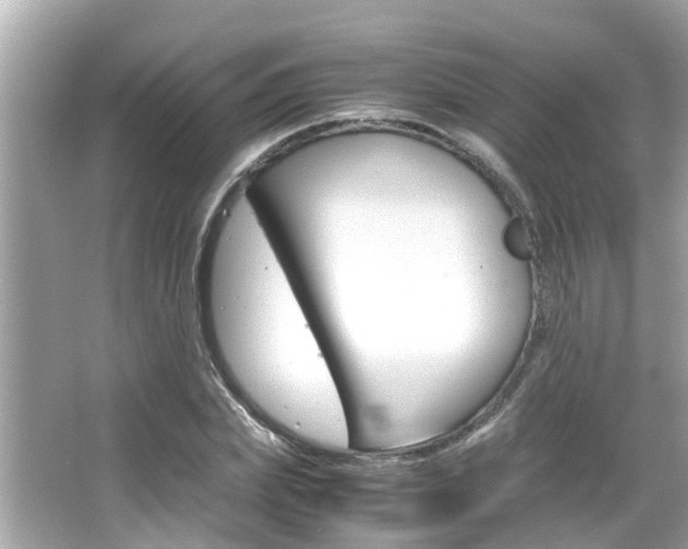 X0000066540831200603171053