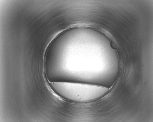 X0000066540844200603171053