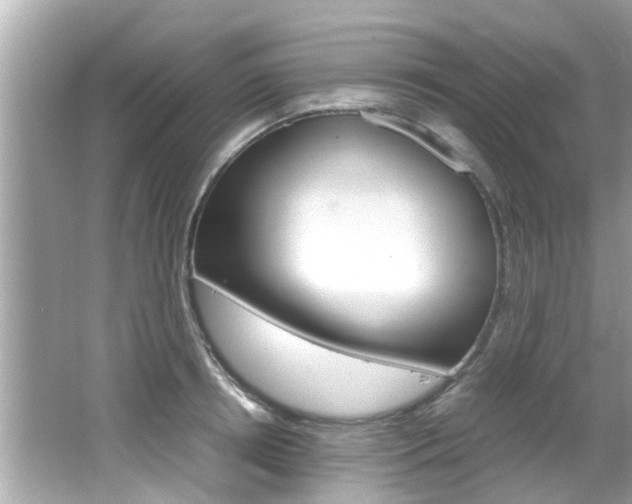 X0000066540850200603171053