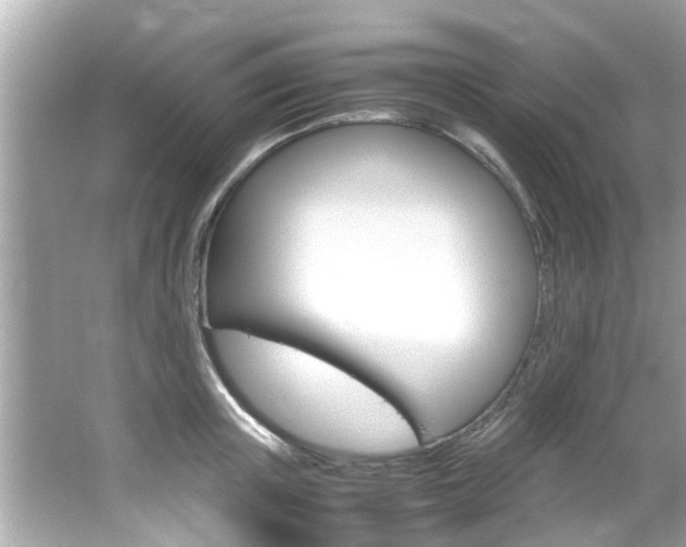 X0000066540851200603171053