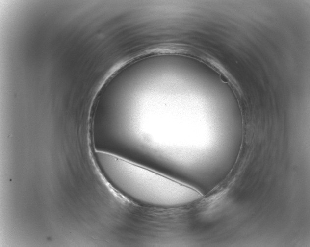X0000066540853200603171053