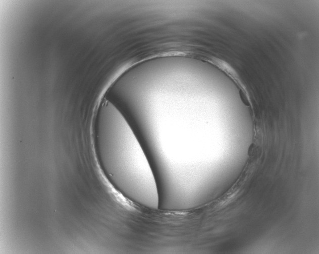 X0000066540859200603171053