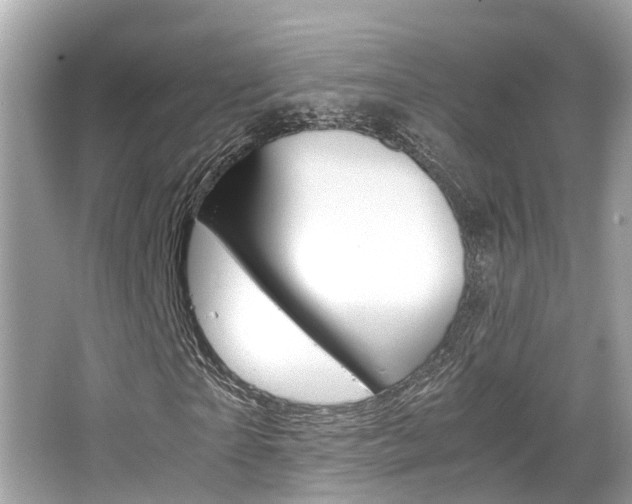 X0000066540865200603171053
