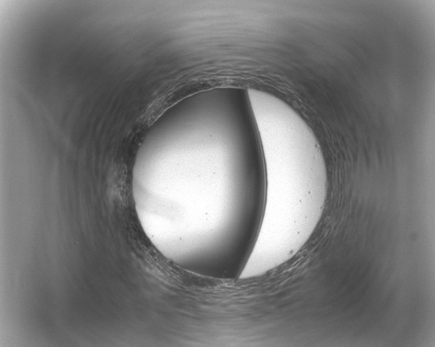 X0000066540867200603171052