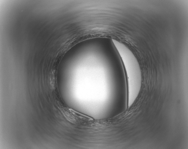 X0000066540868200603171052