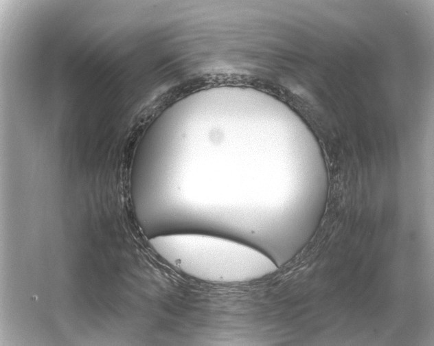 X0000066540870200603171052
