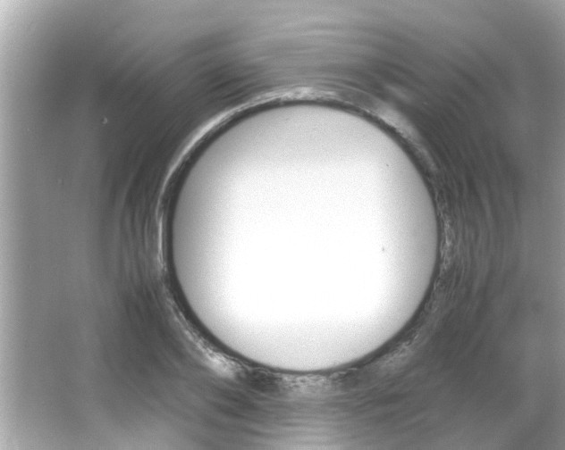 X0000066540886200603171052