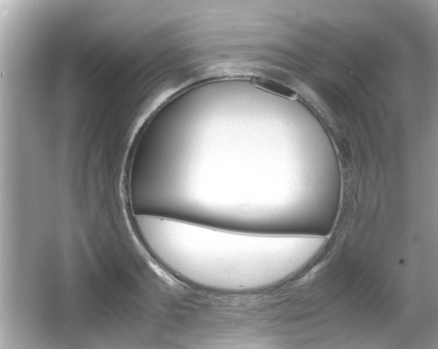 X0000066540893200603171052