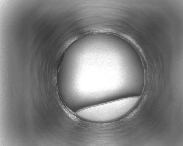 X0000066540897200603171052
