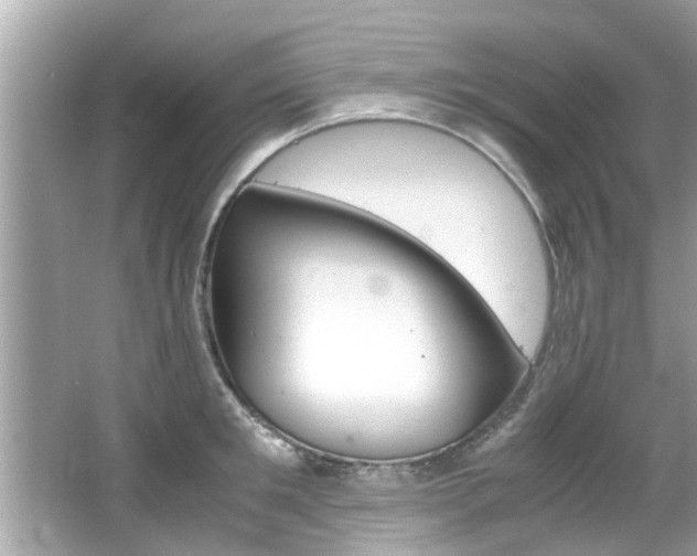 X0000066540901200603171052