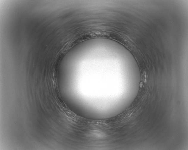 X0000066540915200603171051