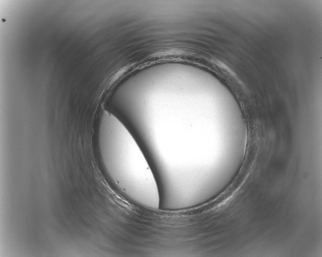X0000066540921200603171051