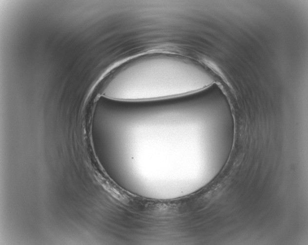 X0000066540923200603171051