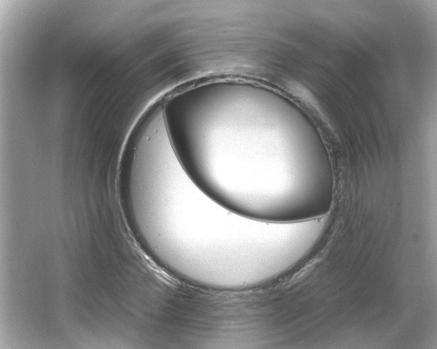 X0000066540924200603171051