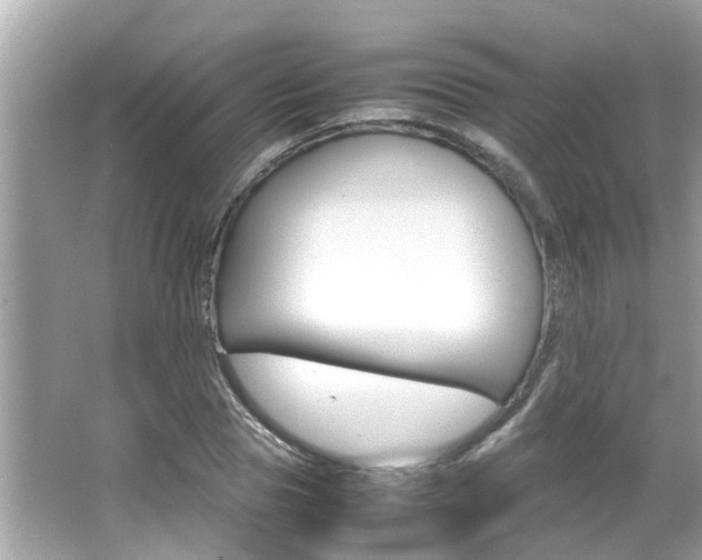 X0000066540929200603171051