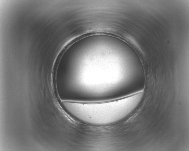 X0000066540932200603171051
