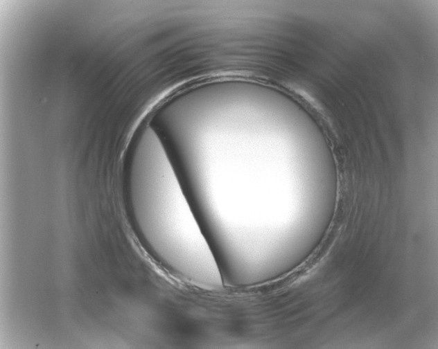 X0000066540933200603171051